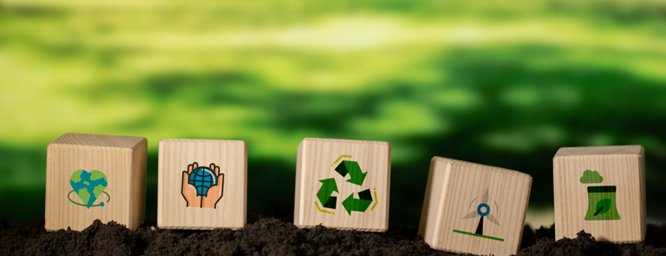 sosteninibilidad_adiante_4